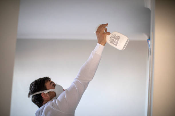 Best Emergency Mold Remediation in Fairfax, CA