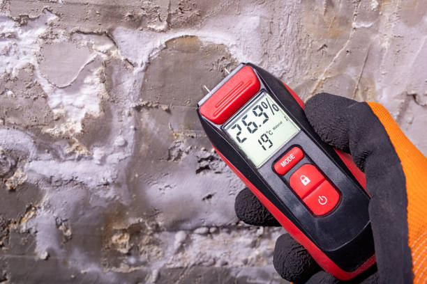 Best Crawl Space Mold Remediation in Fairfax, CA